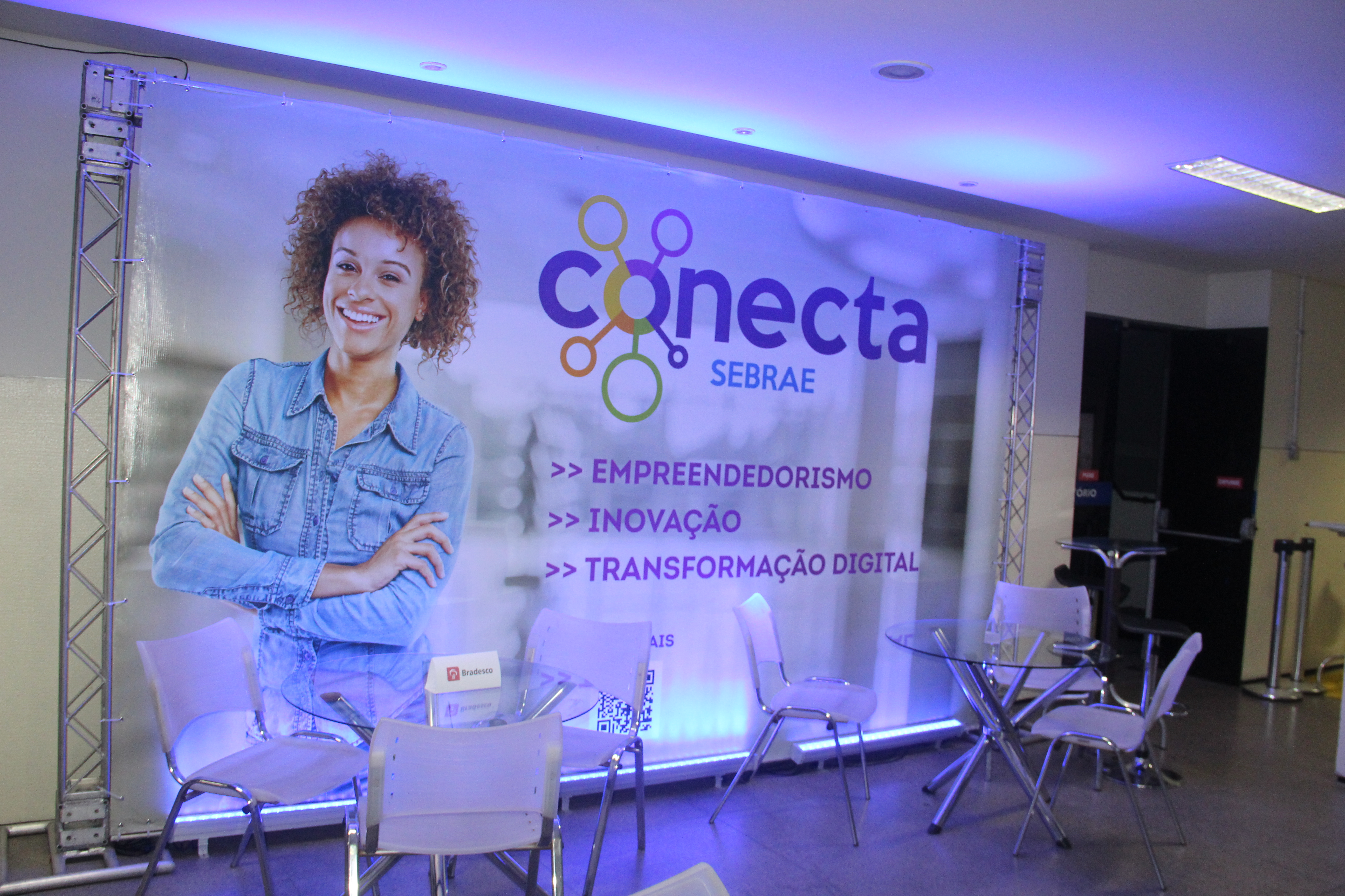 Conecta Sebrae 2020 